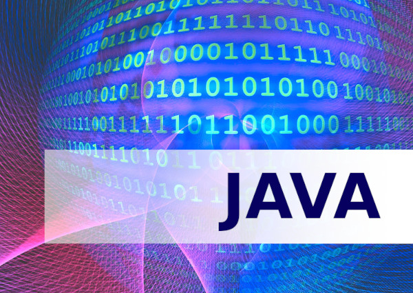 Aprender a Programar Java Inicial